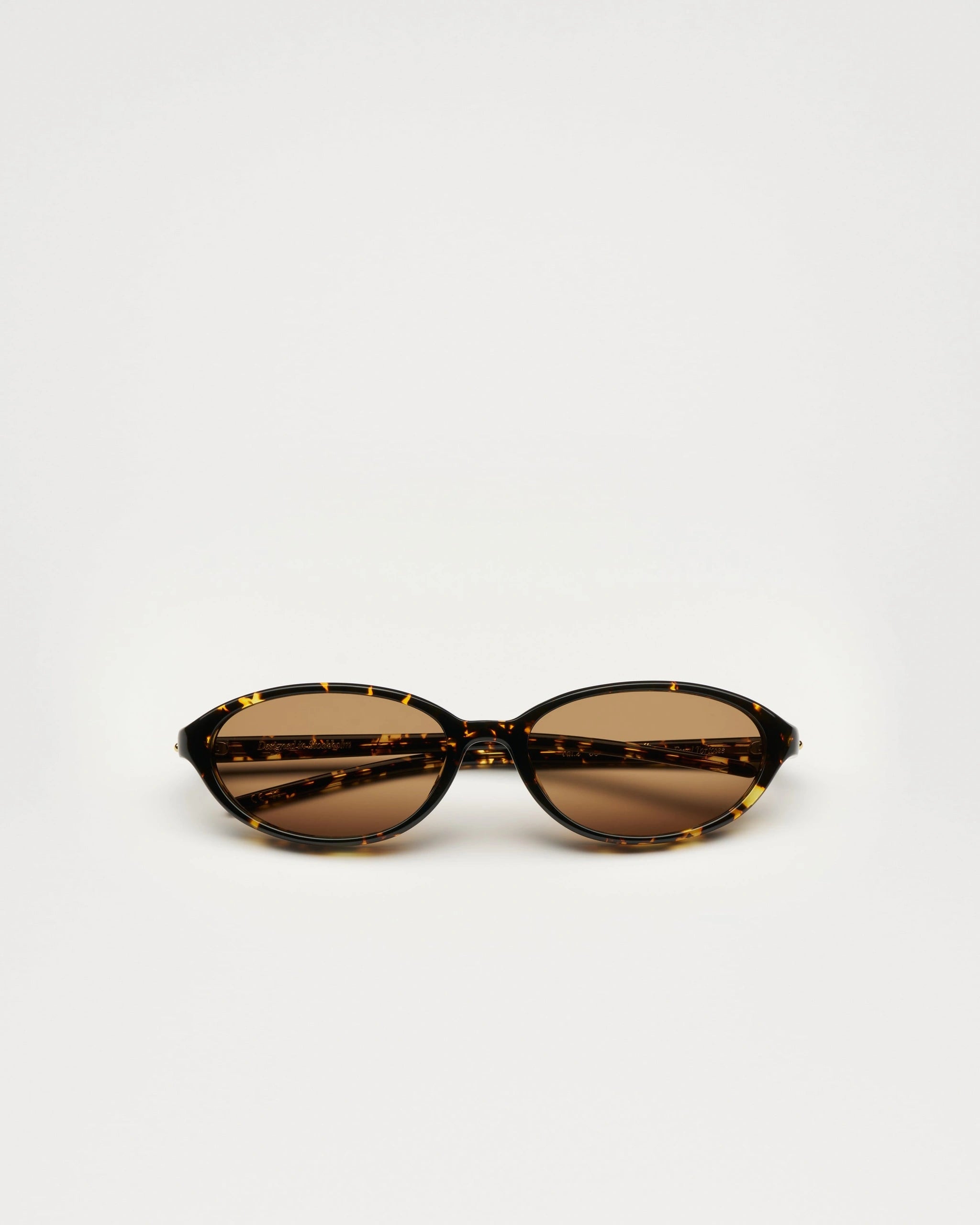 Ellipse - Ferral Tortoise