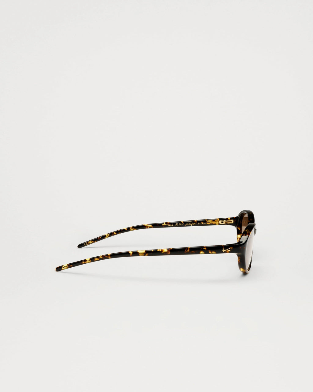 Ellipse - Ferral Tortoise